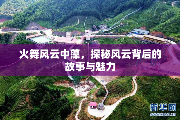 火舞风云中藻，探秘风云背后的故事与魅力
