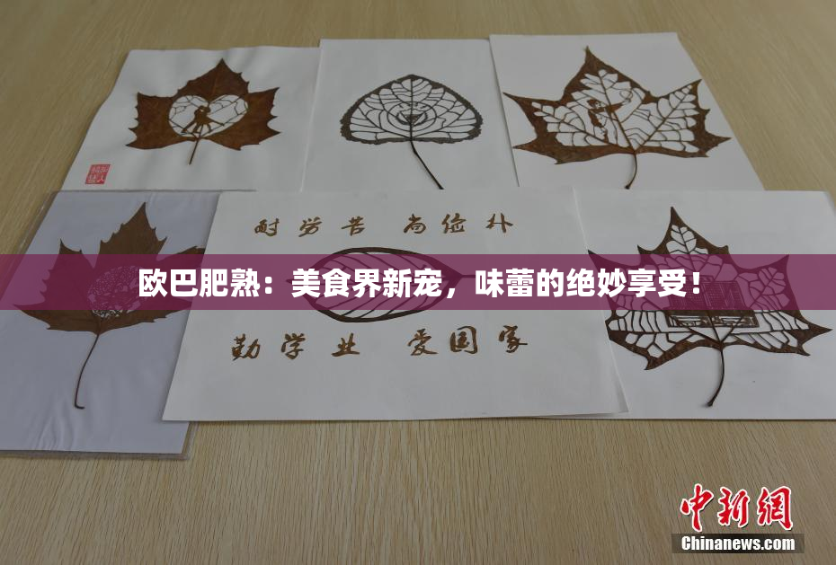欧巴肥熟：美食界新宠，味蕾的绝妙享受！