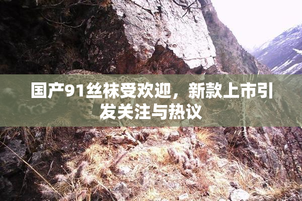 国产91丝袜受欢迎，新款上市引发关注与热议