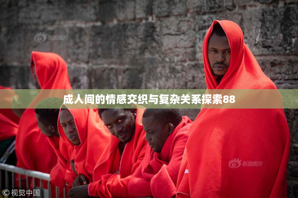 成人间的情感交织与复杂关系探索88