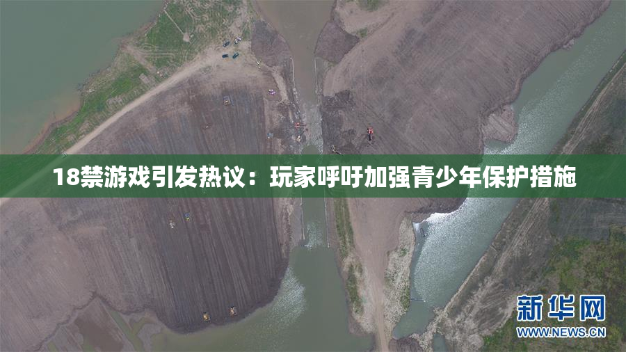 18禁游戏引发热议：玩家呼吁加强青少年保护措施