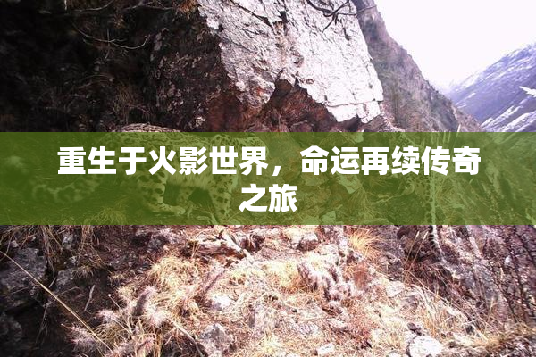 重生于火影世界，命运再续传奇之旅