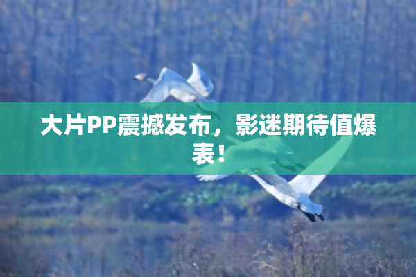 大片PP震撼发布，影迷期待值爆表！