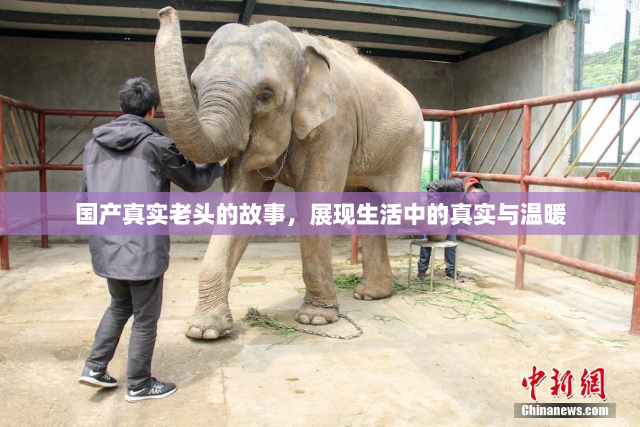 国产真实老头的故事，展现生活中的真实与温暖