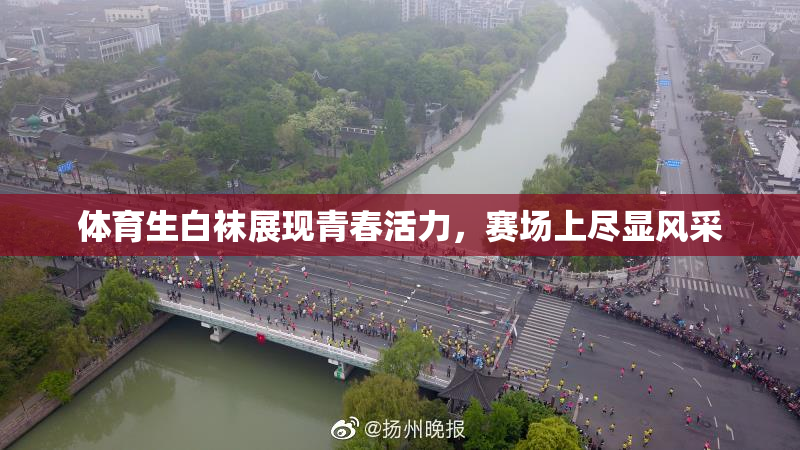 体育生白袜展现青春活力，赛场上尽显风采
