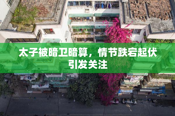 太子被暗卫暗算，情节跌宕起伏引发关注