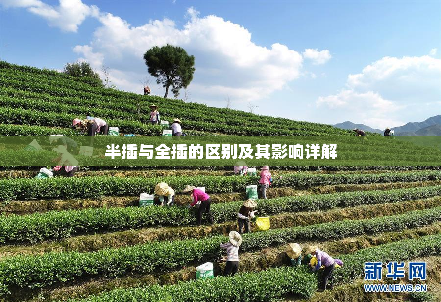 半插与全插的区别及其影响详解