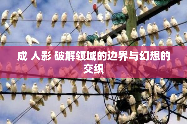 成 人影 破解领域的边界与幻想的交织