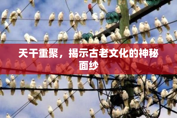 天干重聚，揭示古老文化的神秘面纱