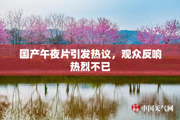国产午夜片引发热议，观众反响热烈不已