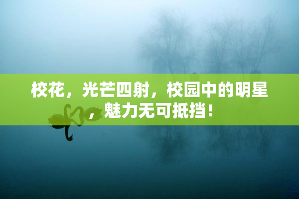 校花，光芒四射，校园中的明星，魅力无可抵挡！