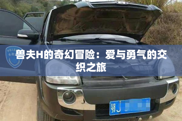 兽夫H的奇幻冒险：爱与勇气的交织之旅