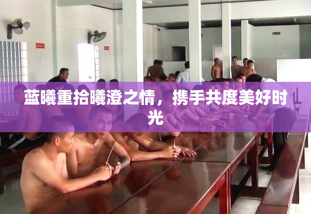 蓝曦重拾曦澄之情，携手共度美好时光