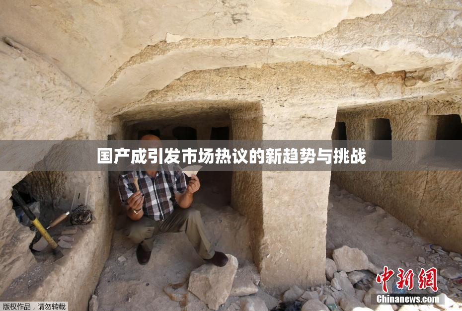 国产成引发市场热议的新趋势与挑战