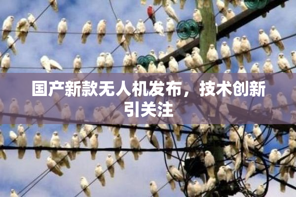 国产新款无人机发布，技术创新引关注