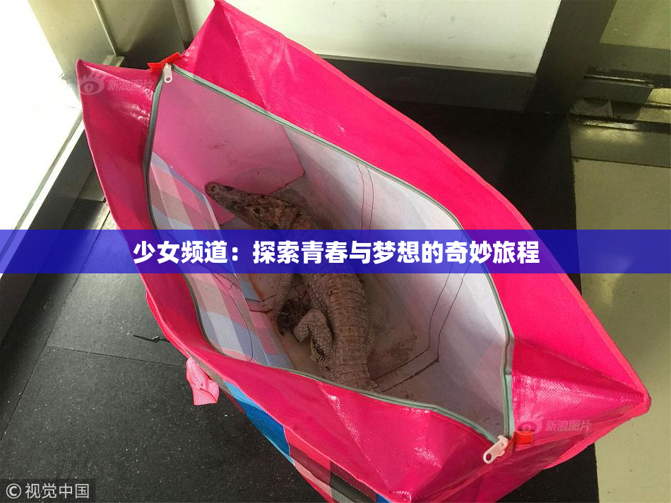 少女频道：探索青春与梦想的奇妙旅程