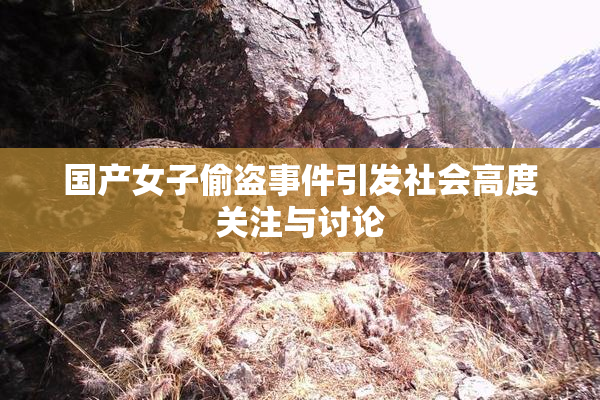 国产女子偷盗事件引发社会高度关注与讨论