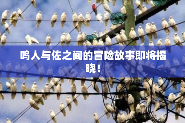 鸣人与佐之间的冒险故事即将揭晓！