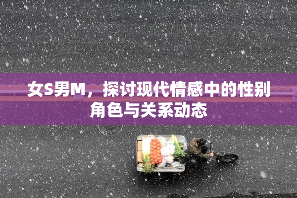女S男M，探讨现代情感中的性别角色与关系动态