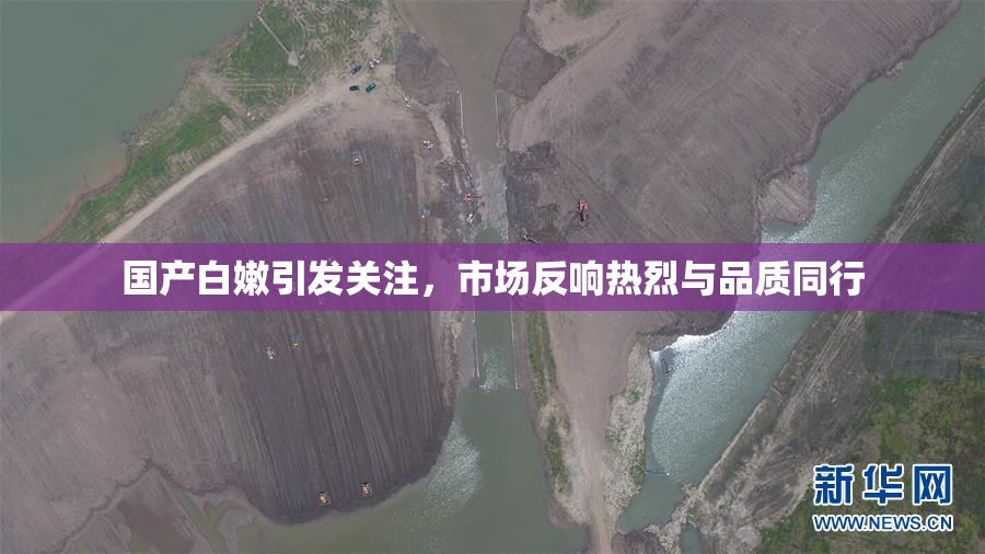 国产白嫩引发关注，市场反响热烈与品质同行