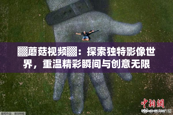 ▓蘑菇视频▓：探索独特影像世界，重温精彩瞬间与创意无限
