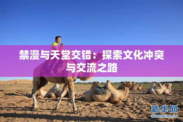 禁漫与天堂交错：探索文化冲突与交流之路