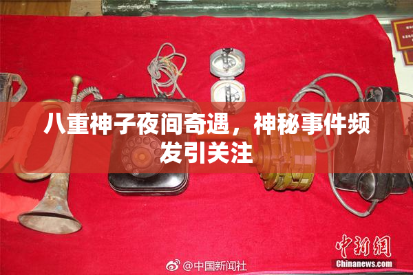 八重神子夜间奇遇，神秘事件频发引关注