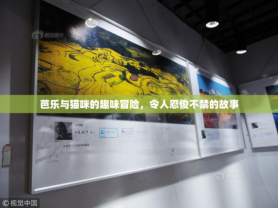 芭乐与猫咪的趣味冒险，令人忍俊不禁的故事