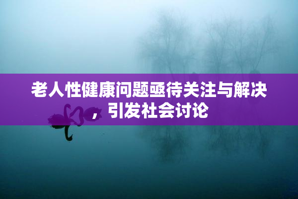 老人性健康问题亟待关注与解决，引发社会讨论