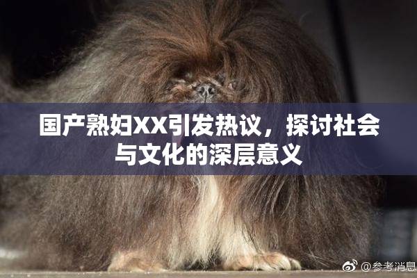 国产熟妇XX引发热议，探讨社会与文化的深层意义