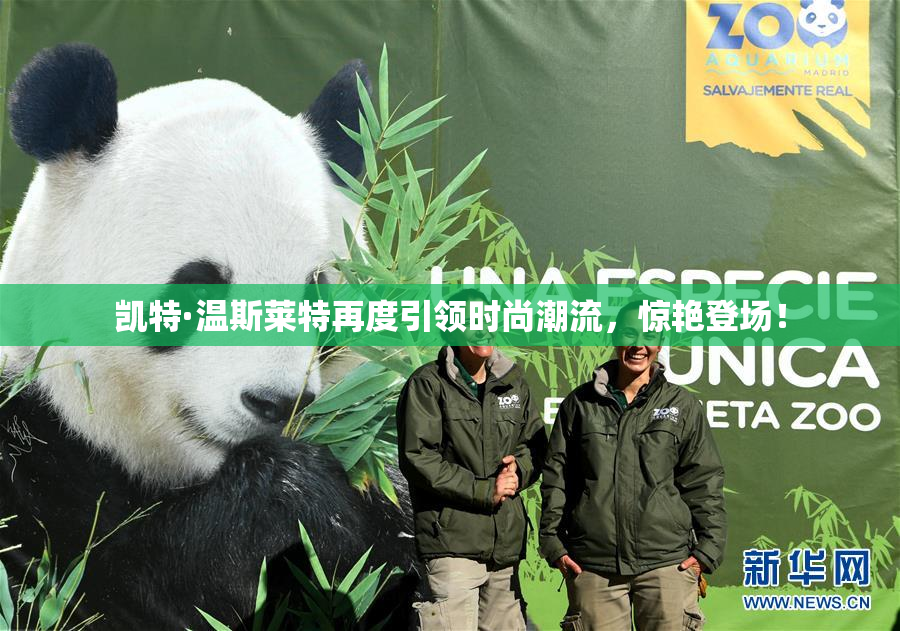 凯特·温斯莱特再度引领时尚潮流，惊艳登场！
