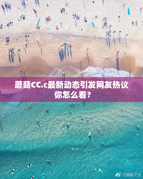 蘑菇CC.c最新动态引发网友热议 你怎么看？