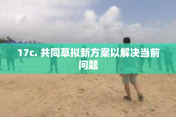 17c. 共同草拟新方案以解决当前问题