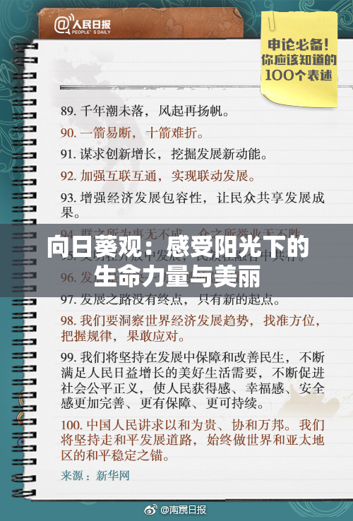 向日葵观：感受阳光下的生命力量与美丽