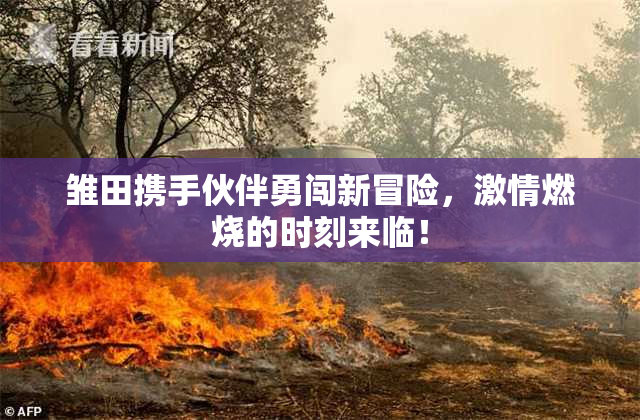 雏田携手伙伴勇闯新冒险，激情燃烧的时刻来临！