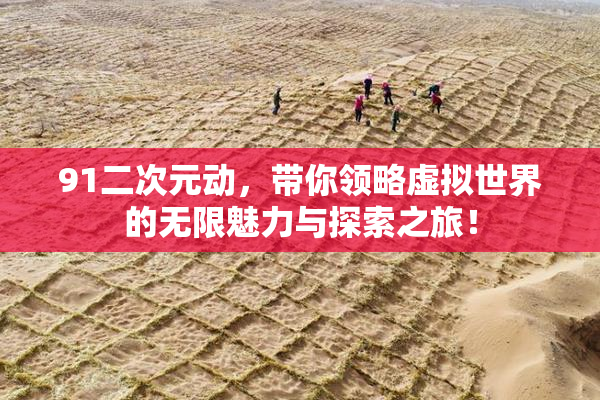 91二次元动，带你领略虚拟世界的无限魅力与探索之旅！