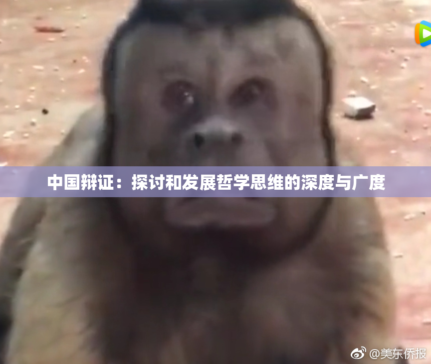 中国辩证：探讨和发展哲学思维的深度与广度