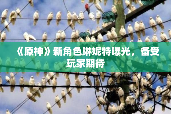 《原神》新角色琳妮特曝光，备受玩家期待