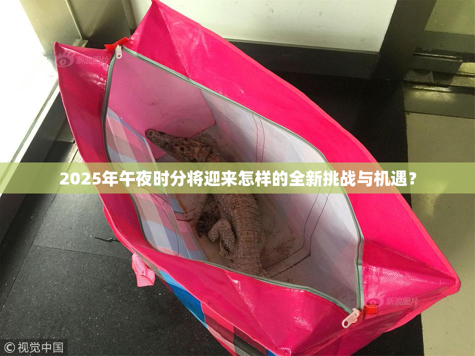 2025年午夜时分将迎来怎样的全新挑战与机遇？