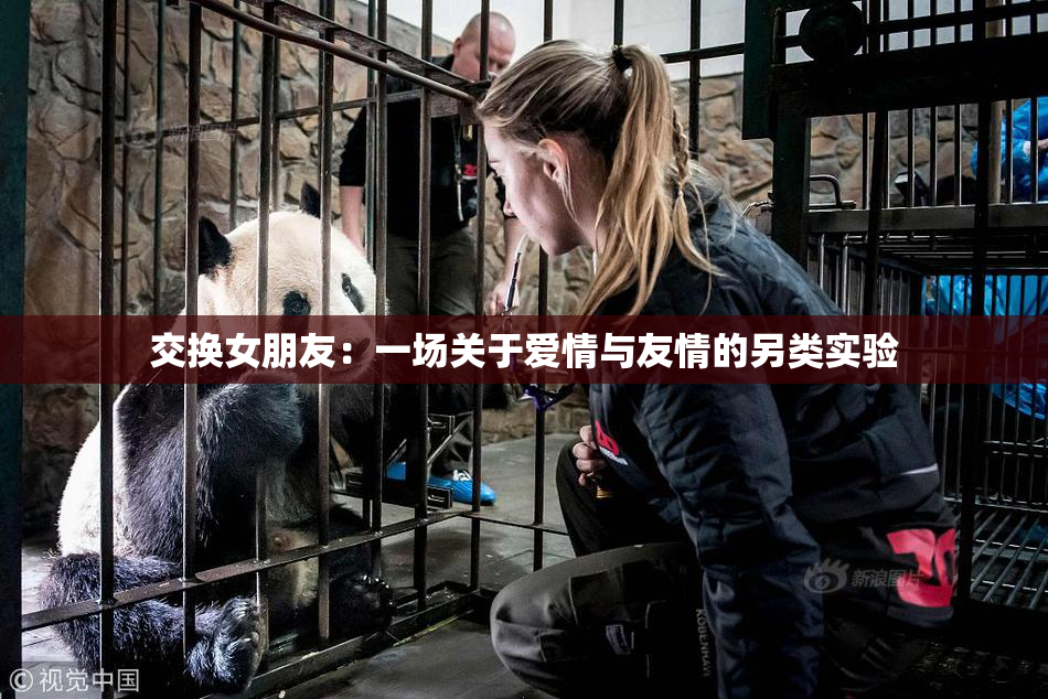 交换女朋友：一场关于爱情与友情的另类实验