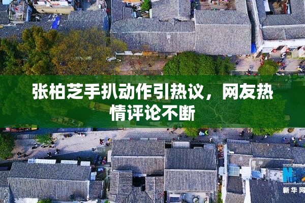张柏芝手扒动作引热议，网友热情评论不断