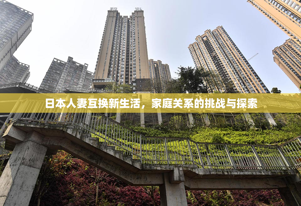 日本人妻互换新生活，家庭关系的挑战与探索