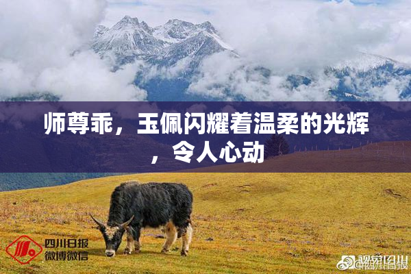 师尊乖，玉佩闪耀着温柔的光辉，令人心动