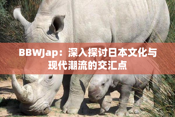 BBWJap：深入探讨日本文化与现代潮流的交汇点