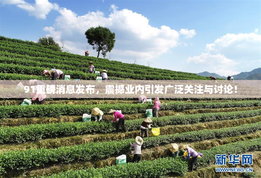 91重磅消息发布，震撼业内引发广泛关注与讨论！