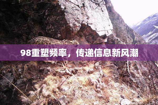98重塑频率，传递信息新风潮