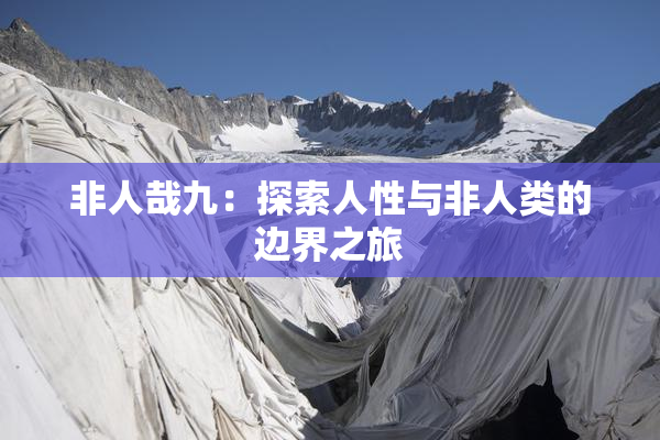 非人哉九：探索人性与非人类的边界之旅