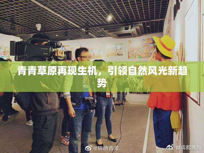 青青草原再现生机，引领自然风光新趋势