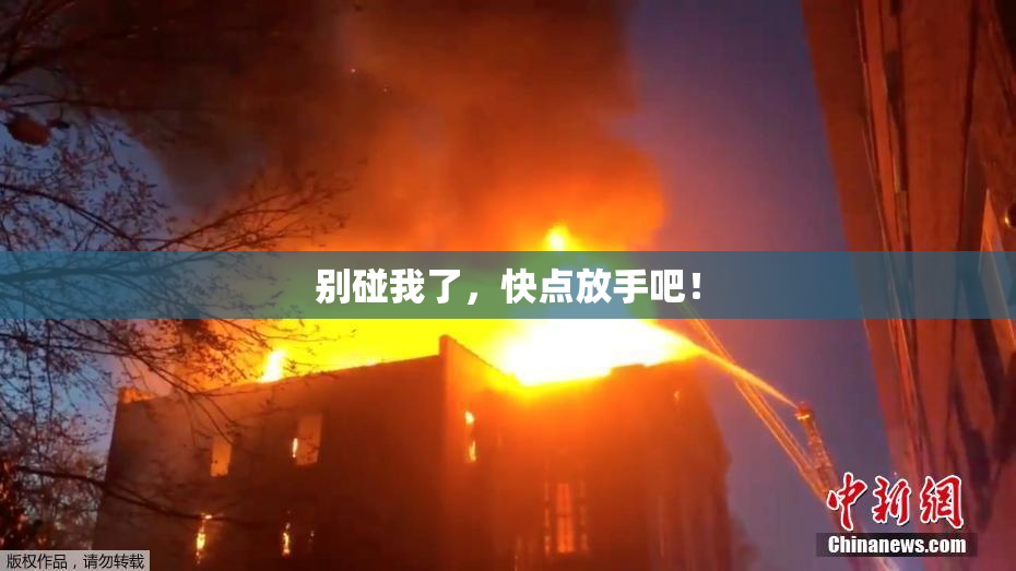 别碰我了，快点放手吧！