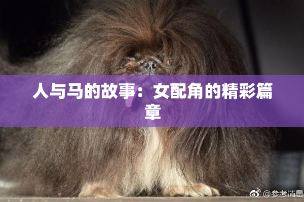 人与马的故事：女配角的精彩篇章